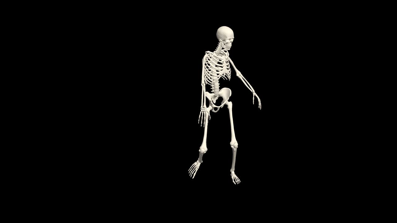 Dancing Skeleton 3D. 4K. Alpha channel. Loop.