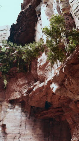 cañón de roca roja con vegetación exuberante