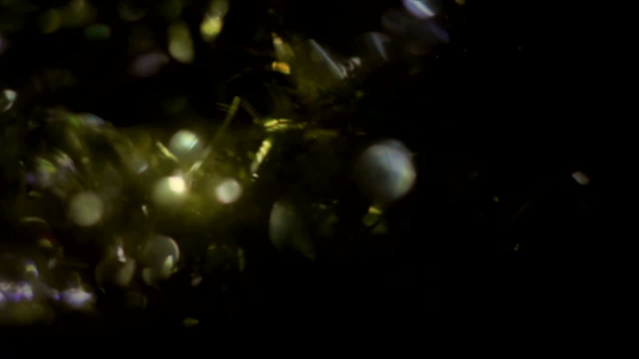 Elemento Perdite di Luce