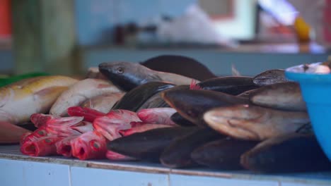 varios peces frescos en la mesa para la venta en el mercado de pescado - indonesia