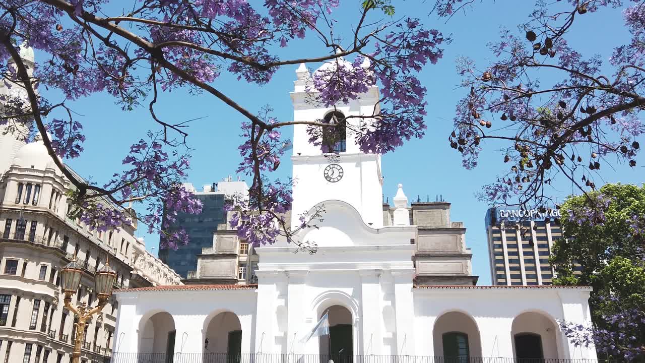 The Cabildo of buenos aires city argentina over Jacarandá trees daylight skyline