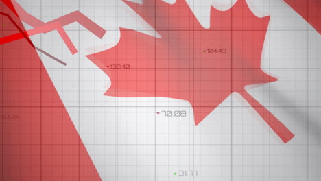 financial data processing against canada flag waving