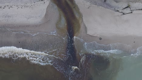 aerial establishing view of a small dark river flowing into the baltic sea near liepaja , white sand beach, overcast autumn day, wide ascending drone birdseye shot