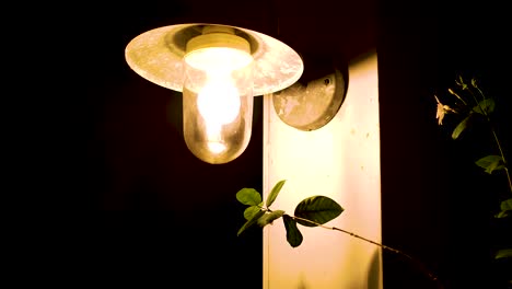 4k 24fps tilt down of lantern style lamp with warm light bulb during nighttime, foliage on side