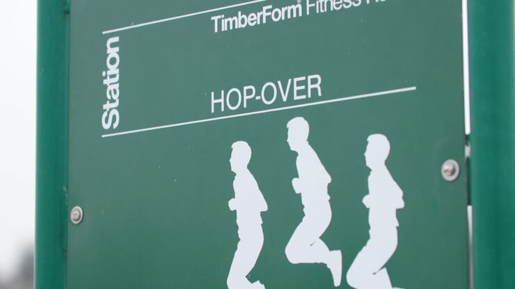 Outdoor Gym Equipment, Sports and Fitness at the Park