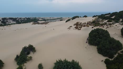 Dune-Di-Piscinas,-Una-Amplia-Y-Enorme-Duna-De-Arena-Del-Desierto-Junto-Al-Mar-Con-Una-Playa-De-Arena-En-La-Isla-De-Cerdeña,-Italia