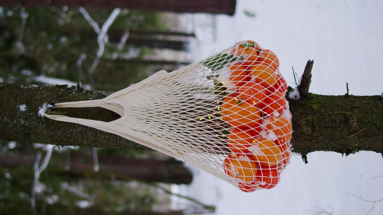 눈 속 의 나무 에서 매달린 메쉬 가방 에 있는 오렌지