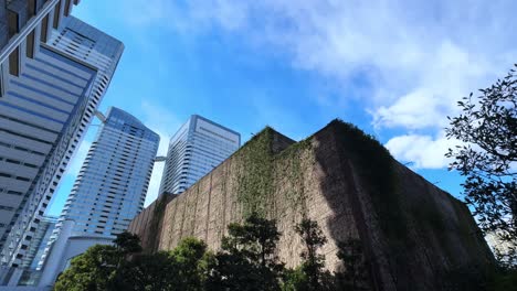 urban skyline with tall buildings, green-covered wall, and bright blue sky in harumi