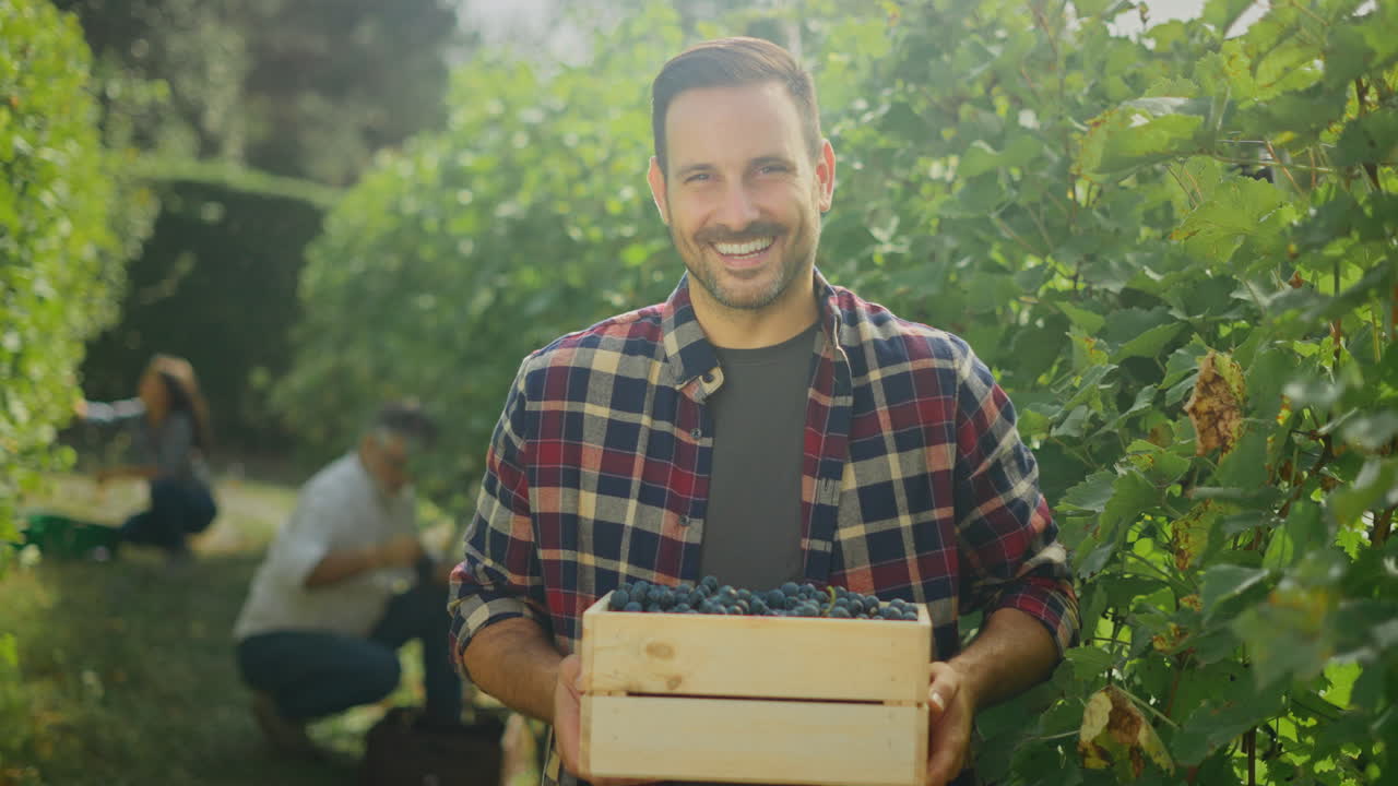 Happy Farmer Holding a Crate of Grapes