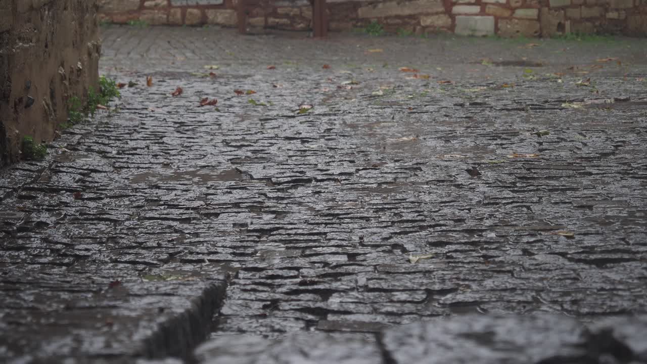 역사적인 도시 의 은 자갈 길