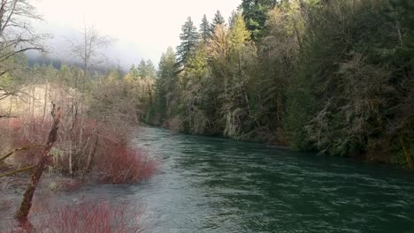 Drone-flying-backward-three-meters-above-the-Cowichan-river-in-winter-with-trees-and-clouds-