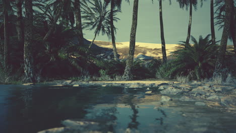 colorful scene with a palm tree over a small pond in a desert oasis