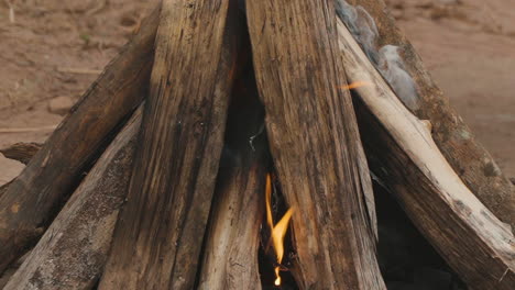 burning wood: slow motion video of tongues of fire and ember smoke