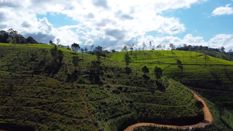 Vuelo-Aéreo-Sobre-Campos-De-Té-En-Un-Día-Soleado,-Nuwara-Eliya,-Sri-Lanka