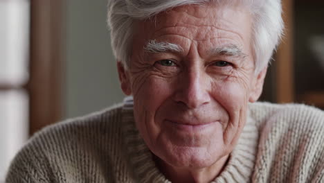 smiling senior man portrait