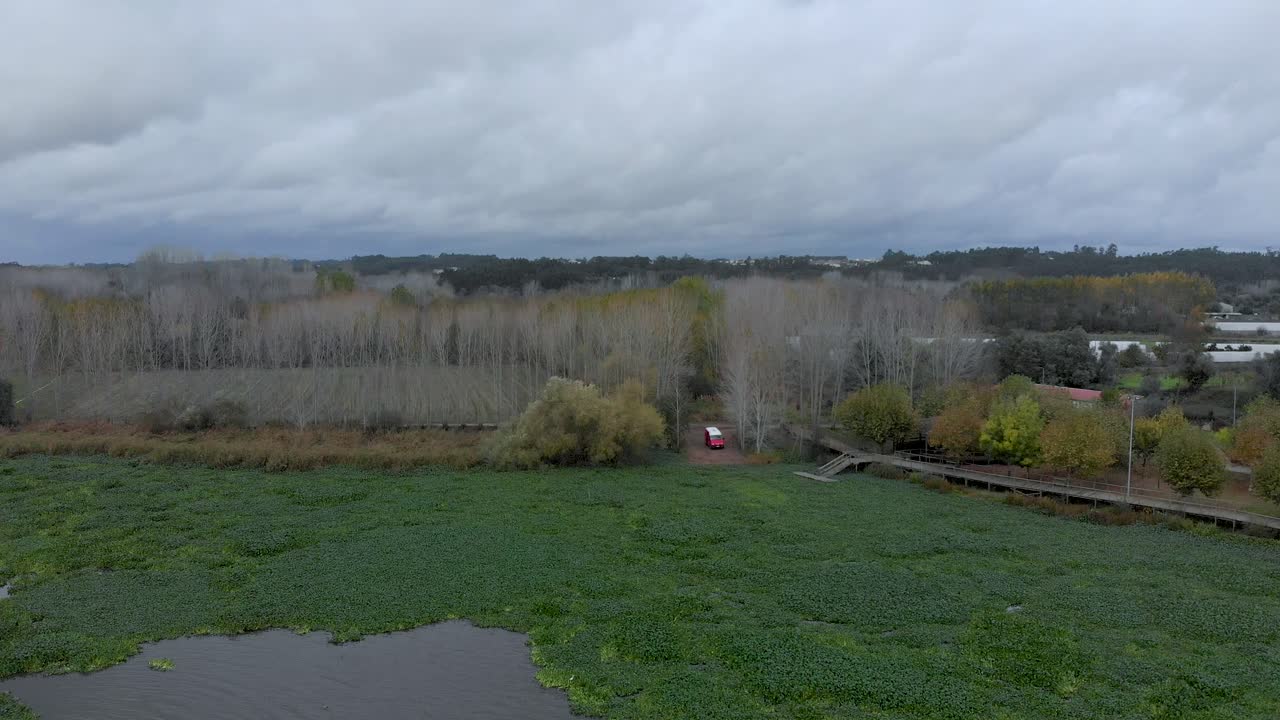 vista aérea de un paisaje lacustre lleno de jacintos de agua en un día nublado de otoño