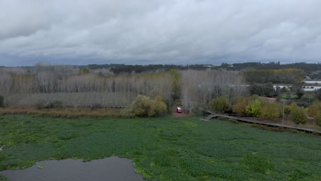 Vista-Aérea-De-Un-Paisaje-Lacustre-Lleno-De-Jacintos-De-Agua-En-Un-Día-Nublado-De-Otoño