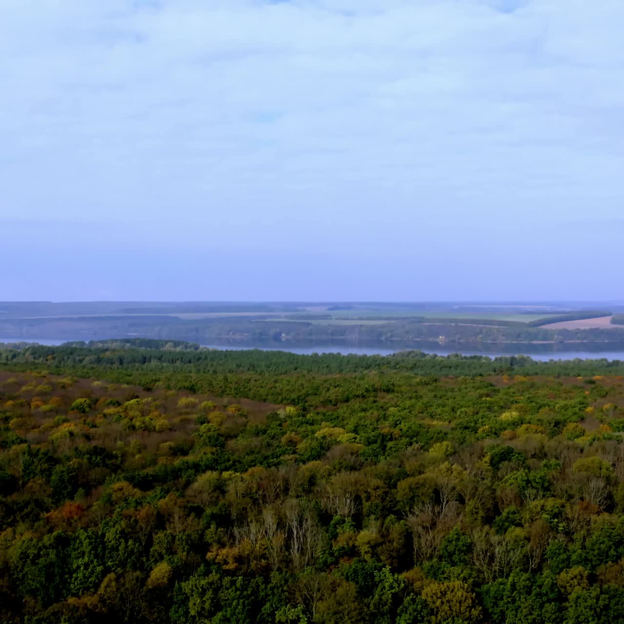 Edge of the forest. Deciduous wood on natural river and fields background. Amazing scenery in the countryside. Peaceful atmosphere of nature.