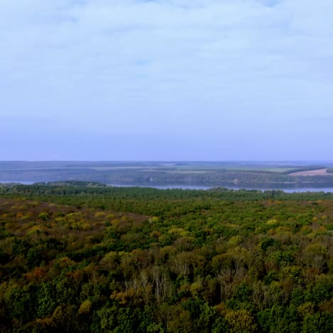 edge of the forest. deciduous wood on natural river and fields background. amazing scenery in the countryside. peaceful atmosphere of nature.