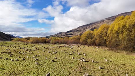 Sheep graze in a lush, sunlit valley surrounded by hills and trees under a bright blue sky