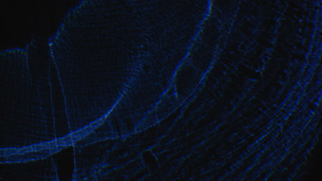 blue light refracted and reflected on a dark background - close up