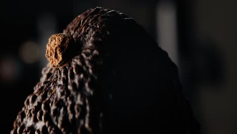 macro shot of top of fresh avocado