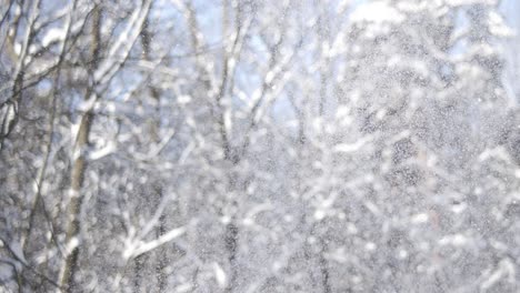 paisaje de invierno durante las nevadas. fondo abstracto de navidad de invierno en súper cámara lenta.