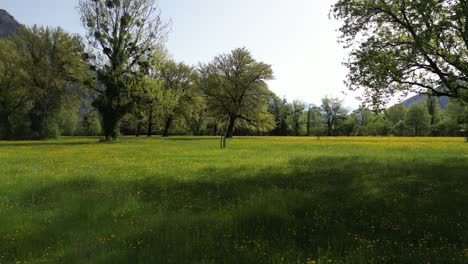 Magical-Green-Meadow-In-Weesen-Mountain,-St.Gallen,-Switzerland