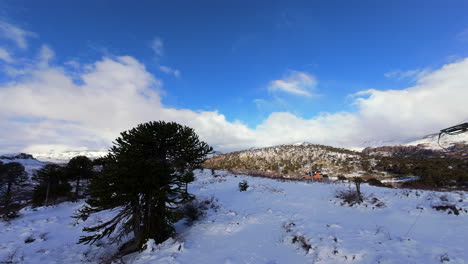 fpv drone flying through snow capped trees in caviahue, argentina