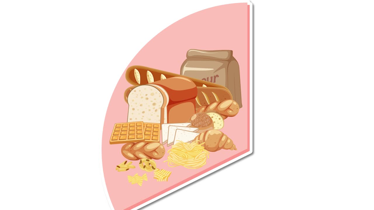 다양한 식품 그룹 세그먼트를 묘사하는 애니메이션