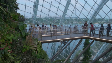 gardens by the bay cloud forest bridge with people