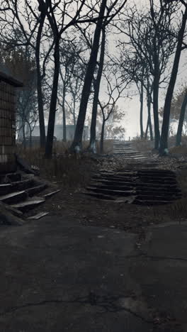 dark, foggy forest path with stairs