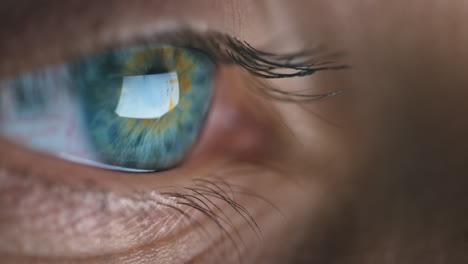 Blue-eye,-woman-and-reading-technology-data