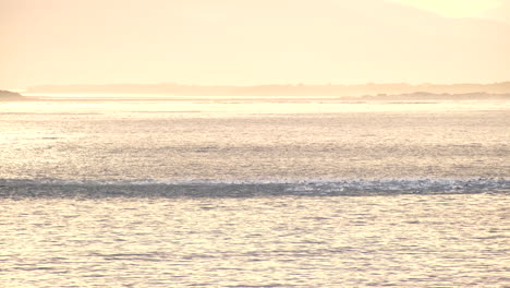 Ocean surface churned up by pod of dolphins swimming and jumping at sunrise