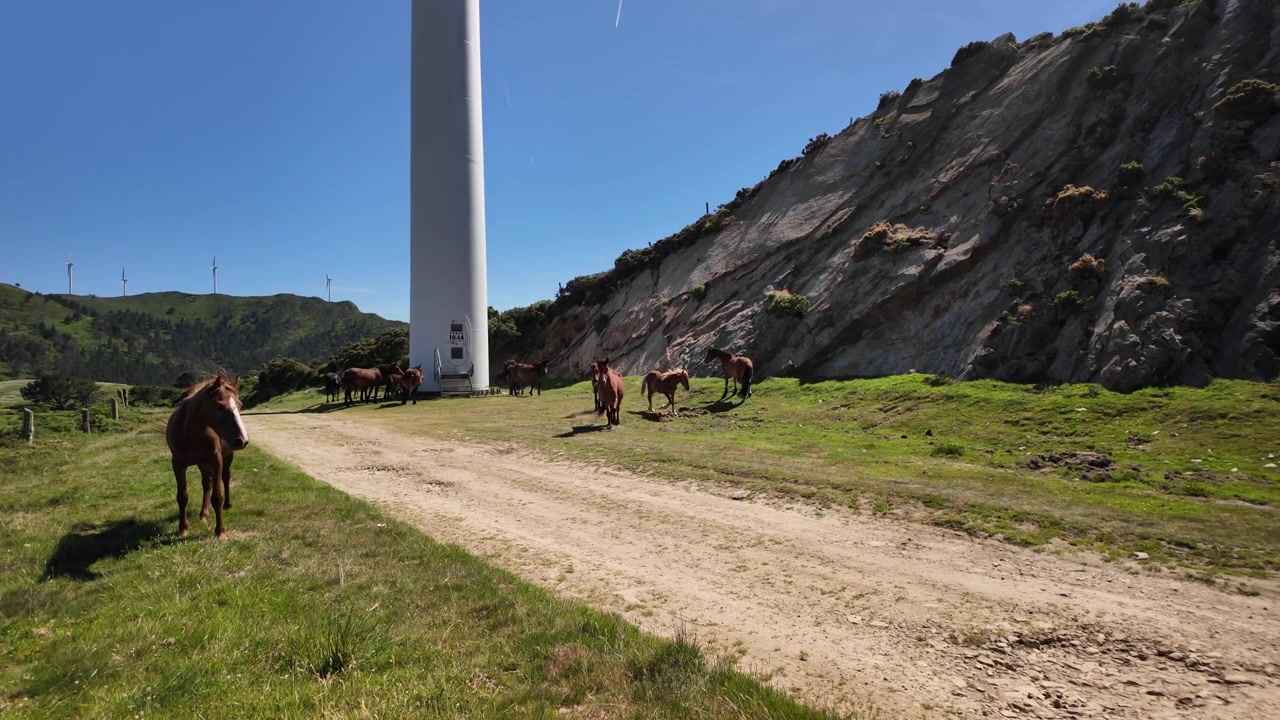 Caballo castaño de pie cerca de un camino de tierra debajo de un aerogenerador de montaña.