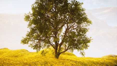 panoramic landscape with lonely tree among green hills