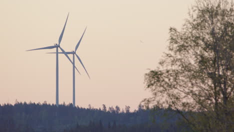 golden hour - wind turbines jutting up from a forest, a bird flies past