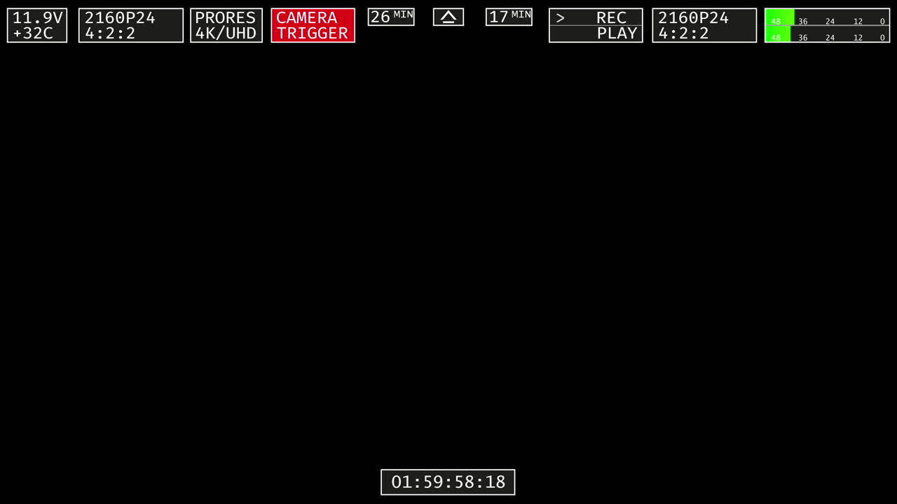Digital Camera Recording Interface with Technical Overlay and Timecode