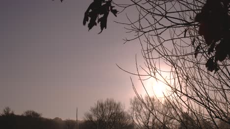 establishing panoramic shot of a calm winter morning in the nature of thetford, uk