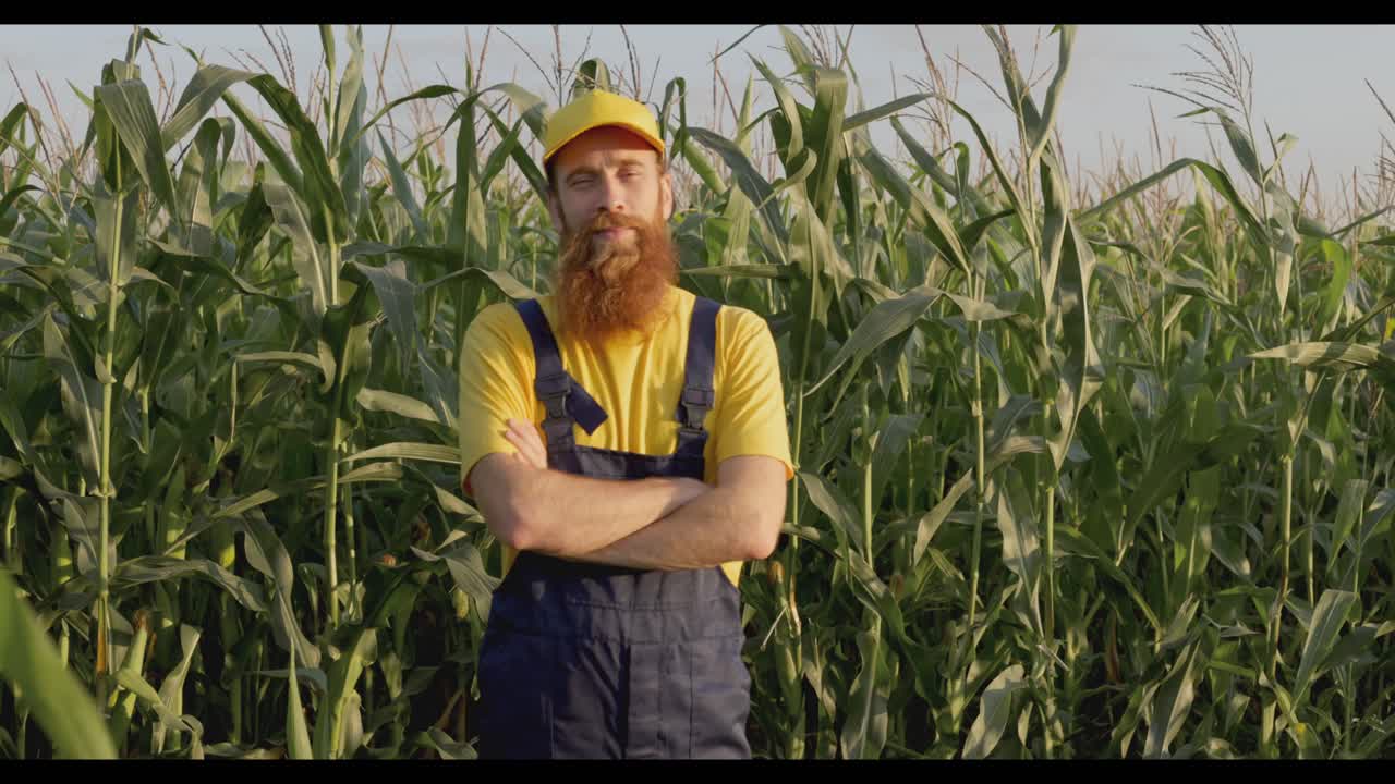 agricultor en el campo de maíz
