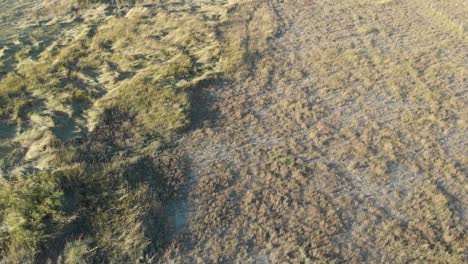 Aerial-drone-shot-of-Mont-Saint-Michel-aerial-view-in-low-tide,-France