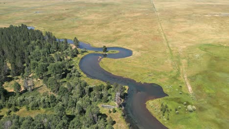 beautiful kayaking river in southern oregon with bright sunshine viewed form above