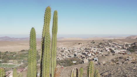 mirador de la ciudad en el desierto con cactus