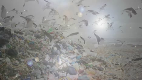 animación de focos con pájaros volando sobre el sitio de eliminación de residuos