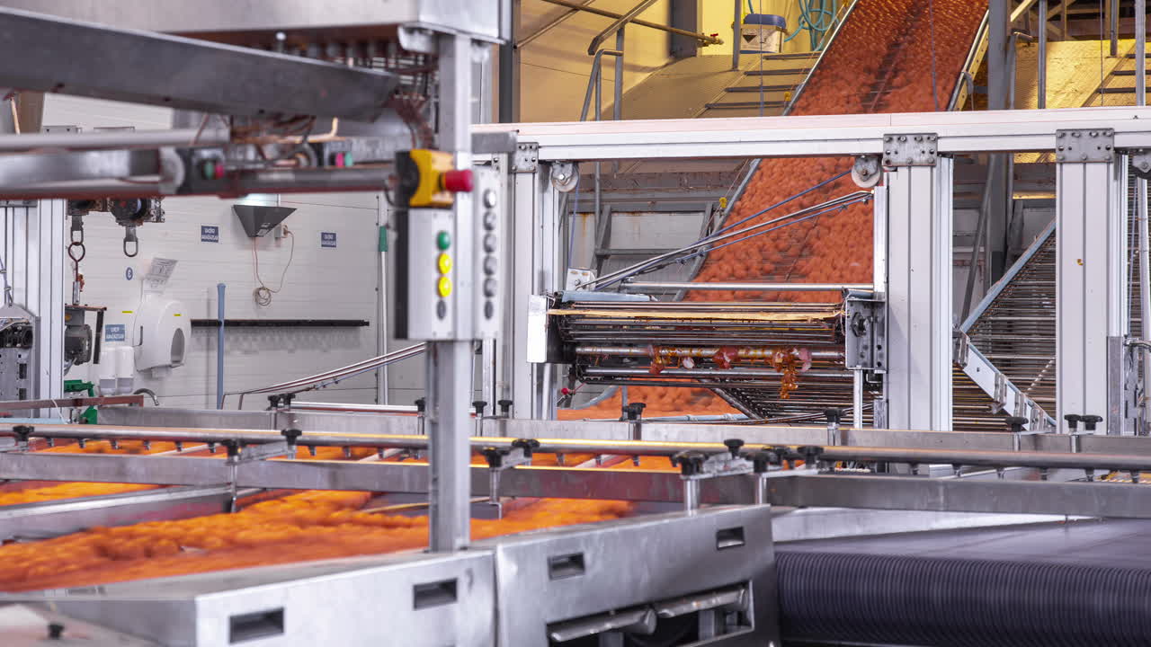 Æg der bevæger sig ned ad et transportbånd og bliver sorteret på en fabrik, timelapse