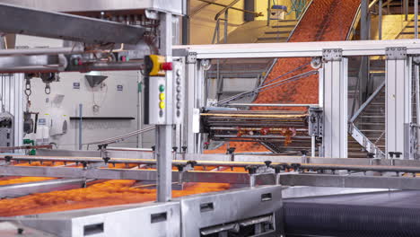 eggs moving down conveyor belt and being sorted in factory, timelapse