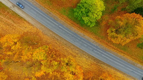 sky view of autumn road car. aerial view country road in autumn forest