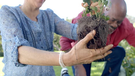 Feliz-Pareja-Diversa-De-Ancianos-Haciendo-Jardinería-En-Un-Jardín-Soleado,-Cámara-Lenta