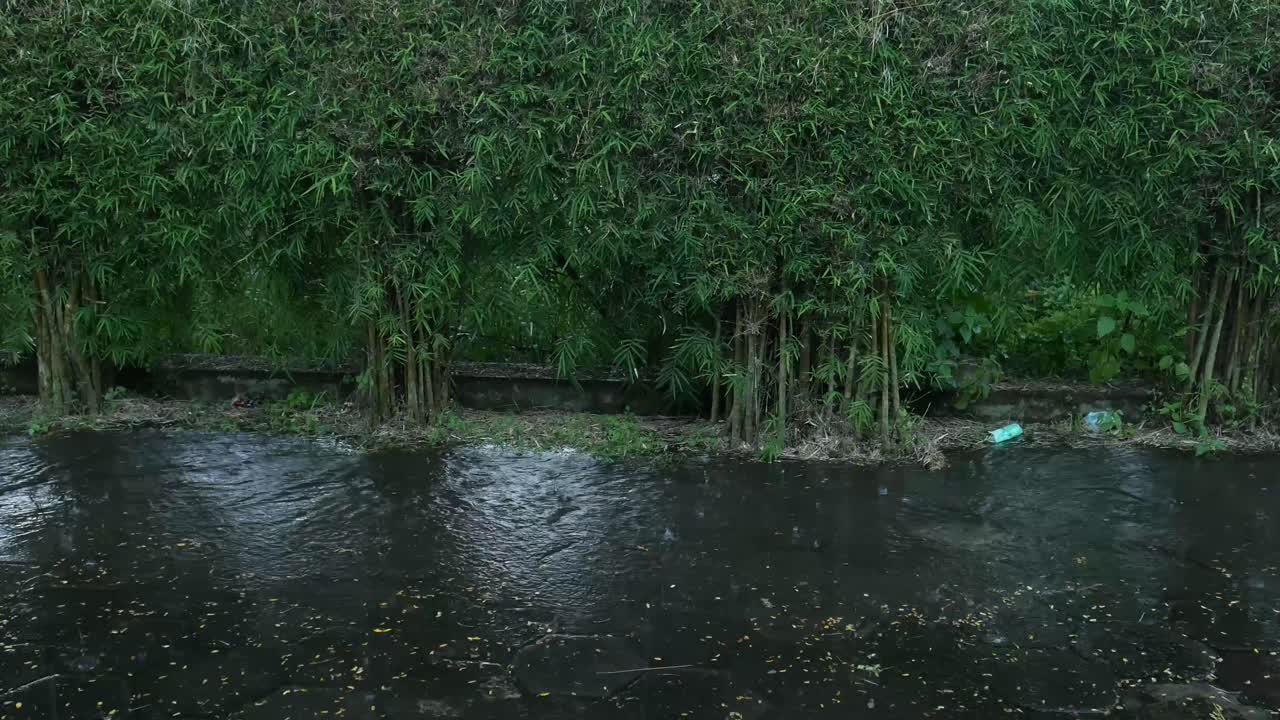 폭우가 내리는 날 정원 바닥에 떨어지는 빗방울