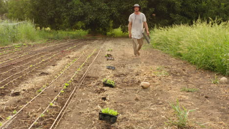 barefoot farmer working in an outdoor agricultural field, agribusiness concept